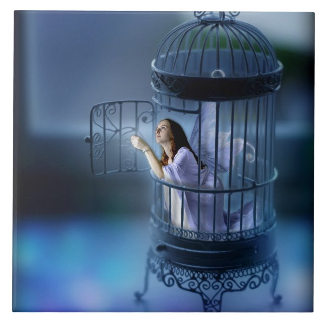 A fada que escapa a dourou a gaiola (Frente)