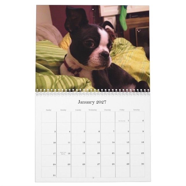 A família 2013 persegue o calendário (Jan 2027)