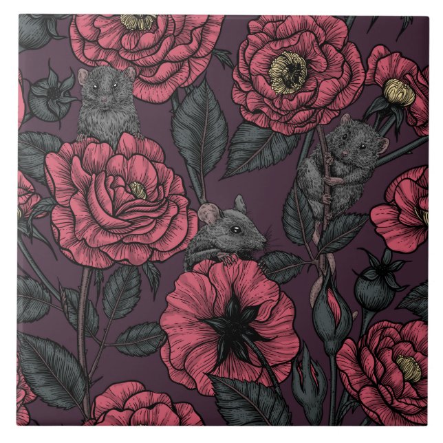 A festa dos ratos (Frente)