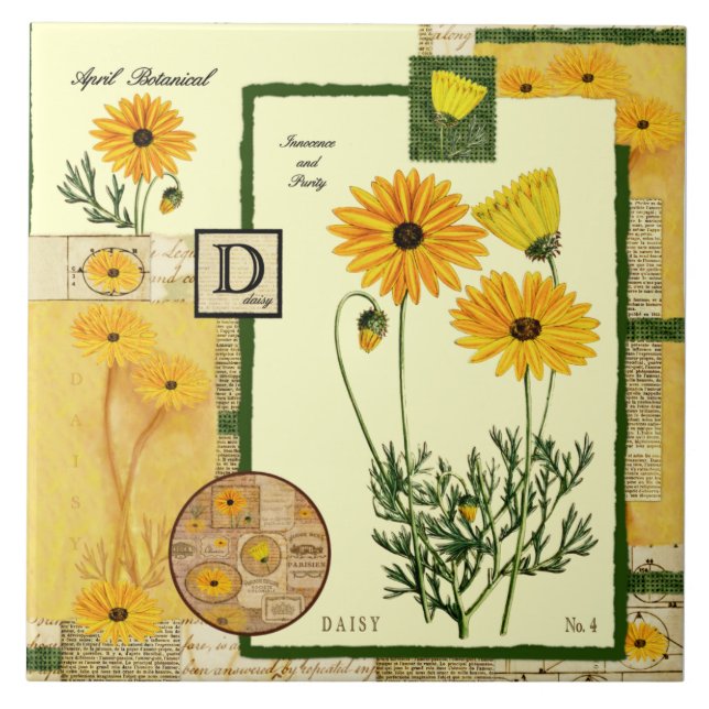 A flor de abril (Frente)