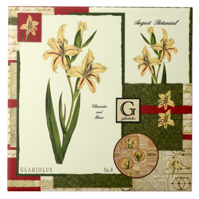 A flor de agosto (Frente)