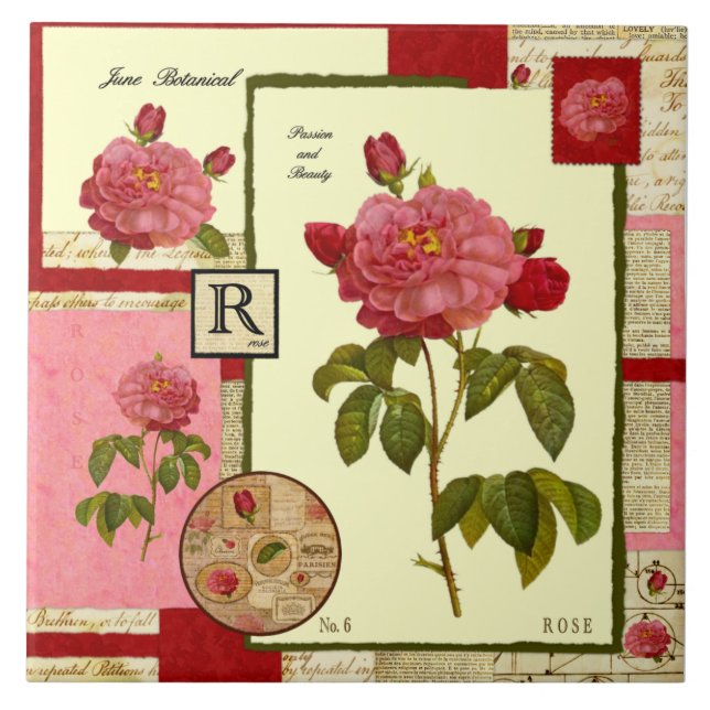 A flor de junho (Frente)