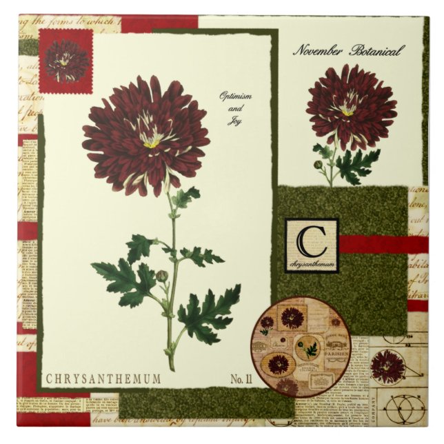 A flor de novembro (Frente)