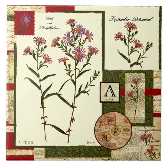 A flor de setembro (Frente)