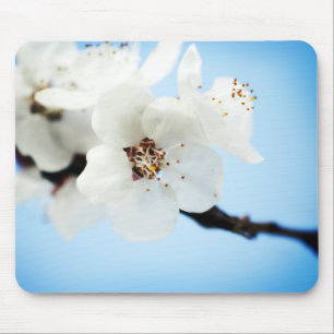 A flor nubla-se Mousepad