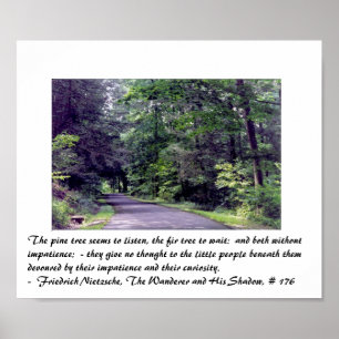 A floresta de Nietzsche - poster