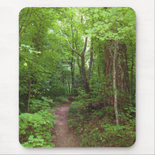 A floresta Enchanted (3) Mousepads