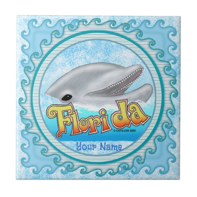A Florida Dolphin (Frente)