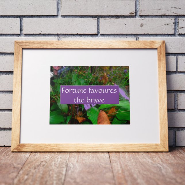A fortuna do provérbio favorece a corajosa poster (Criador carregado)