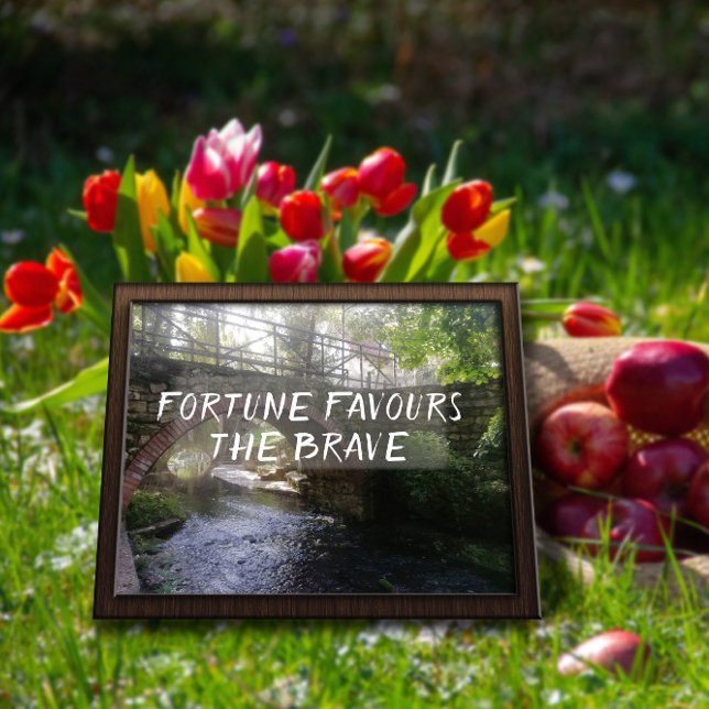 A fortuna favorece o corajoso poster (Criador carregado)