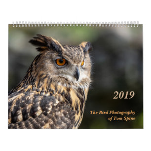 A fotografia do pássaro do calendário do ~ 2019 