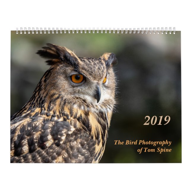 A fotografia do pássaro do calendário do ~ 2019 da (Capa)