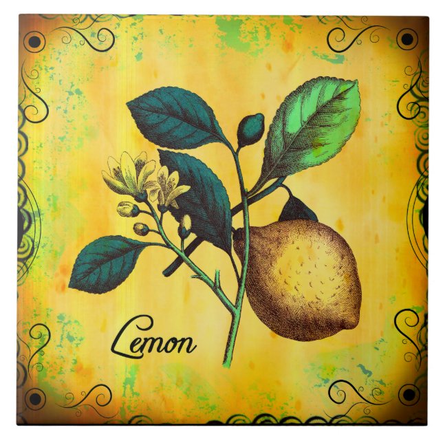 A fruta do limão floresce o vintage das folhas (Frente)