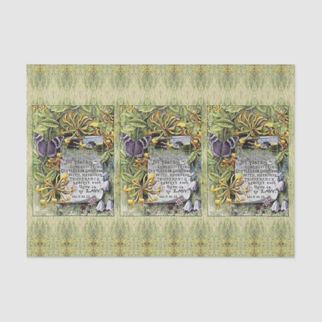 A Fruta Do Papel Tecido Espirituoso (Frente )