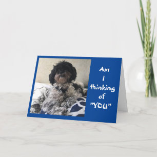 ***A FUNÇÃO SENTE-SE MELHOR EM BREVE** CARTÃO