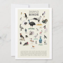 A Galeria de Pássaros Deliciosamente Doofy Placa 5