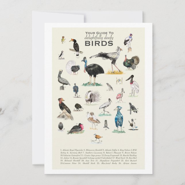 A Galeria de Pássaros Deliciosamente Doofy Placa 5 (Frente)