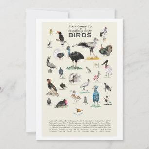 A Galeria de Pássaros Deliciosamente Doofy Placa 5