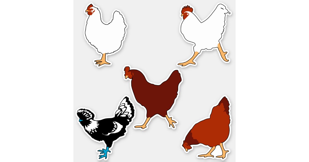 Como desenhar galinha fácil