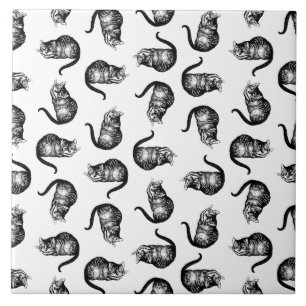 A Gata de Cheshire Alice no País das Maravilhas C