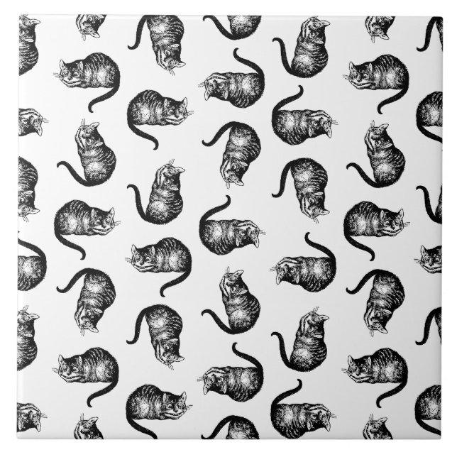 A Gata de Cheshire Alice no País das Maravilhas CO (Frente)