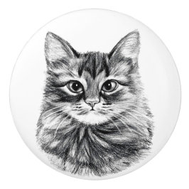 A gaveta da cara do gato do desenho de lápis puxa