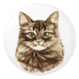 A gaveta do armário do armário do gato dos olhos