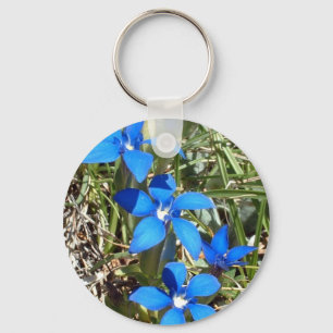 A genciana azul floresce o chaveiro