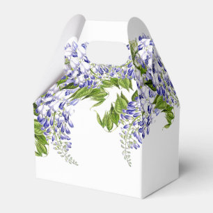 A glicínia botânica floresce a caixa floral do