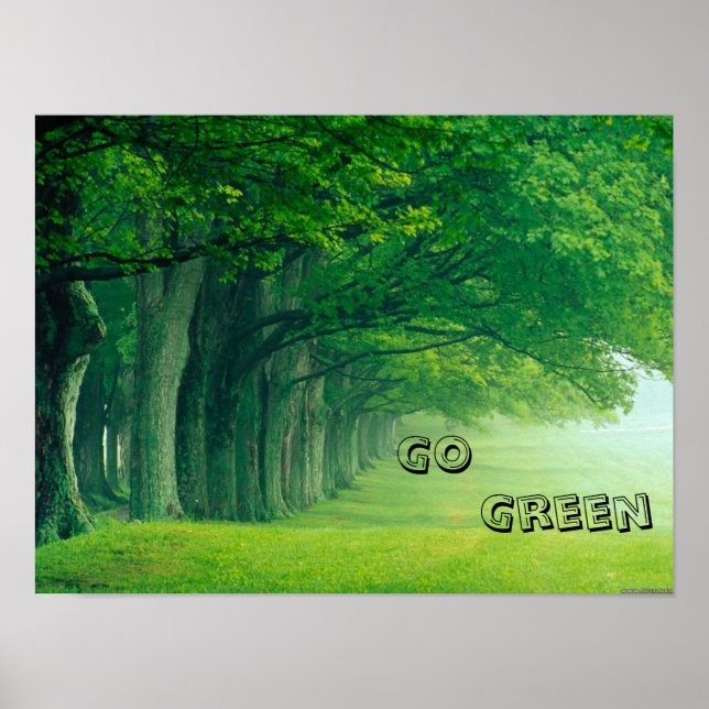 A Go Green Poster (Frente)