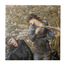 A invasão de Merlin (Edward Burne-Jones) por Vivie