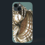 A Joia do Oceano<br><div class="desc">Uma das melhores joias do oceano está nesta imagem. Encontre esta grande concha de concha nesta moldada peça de arte moderna. Esta grande imagem de concha tem um fundo lacrimogêneo e sepia e casca branca. Fique relaxado com este excelente natural.</div>