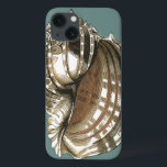 A Joia do Oceano<br><div class="desc">Uma das melhores joias do oceano está nesta imagem. Encontre esta grande concha de concha nesta moldada peça de arte moderna. Esta grande imagem de concha tem um fundo lacrimogêneo e sepia e casca branca. Fique relaxado com este excelente natural.</div>