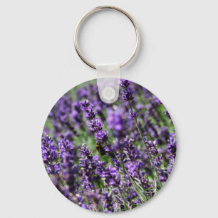A lavanda coloca o chaveiro