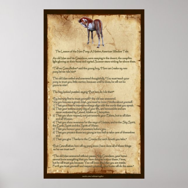 A Lição do Novo Pony: Poster da Sabedoria American (Frente)