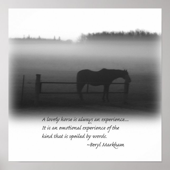 A Lovely Horse Poster (Frente)