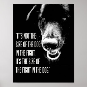 A luta no poster do cão