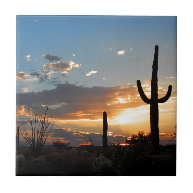 A luz desvanece-se em uma chama (Frente)