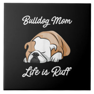 A Mãe Da Bulldog É Um Presente Para Os Alojadore
