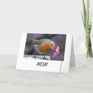 A MÃE MERECE O MELHOR = SEM TWEETS=UM CARTÃO PARA 