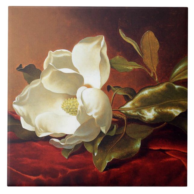 A Magnolia no Red Velvet, (Frente)