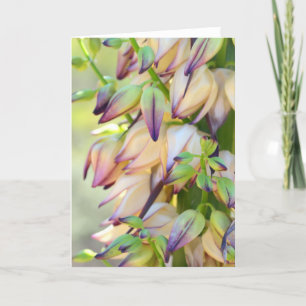 a mandioca floresce o cartão