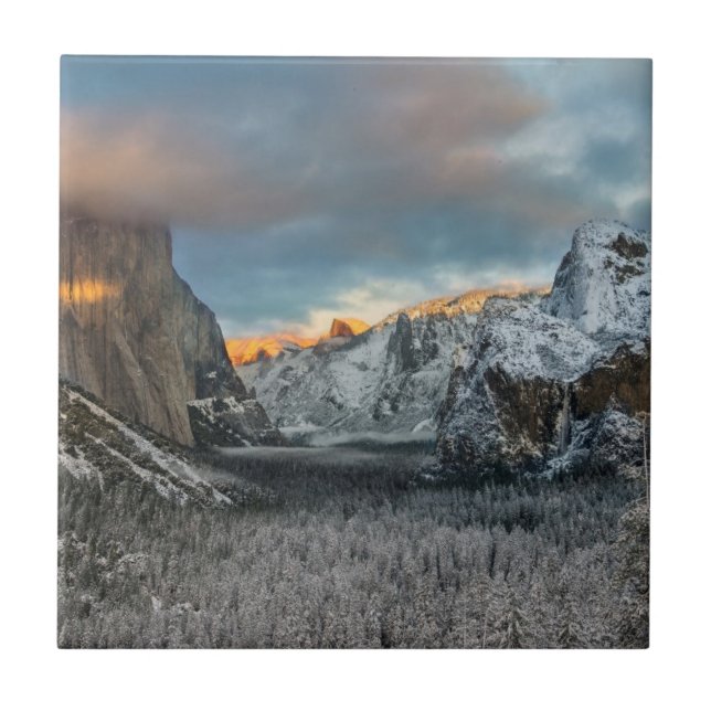 A marca do inverno (Frente)