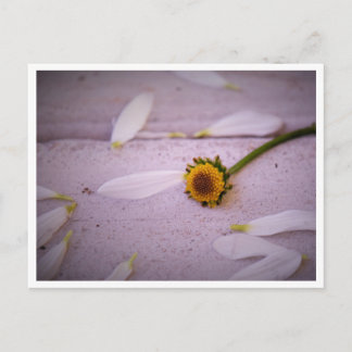 "A Margaret disse: SIM!" cartão postal