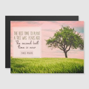 A melhor hora de plantar uma árvore