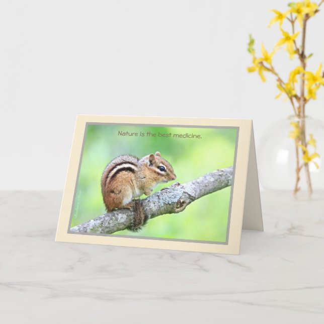 A natureza é o melhor cartão de medicamento (Flor Amarela)