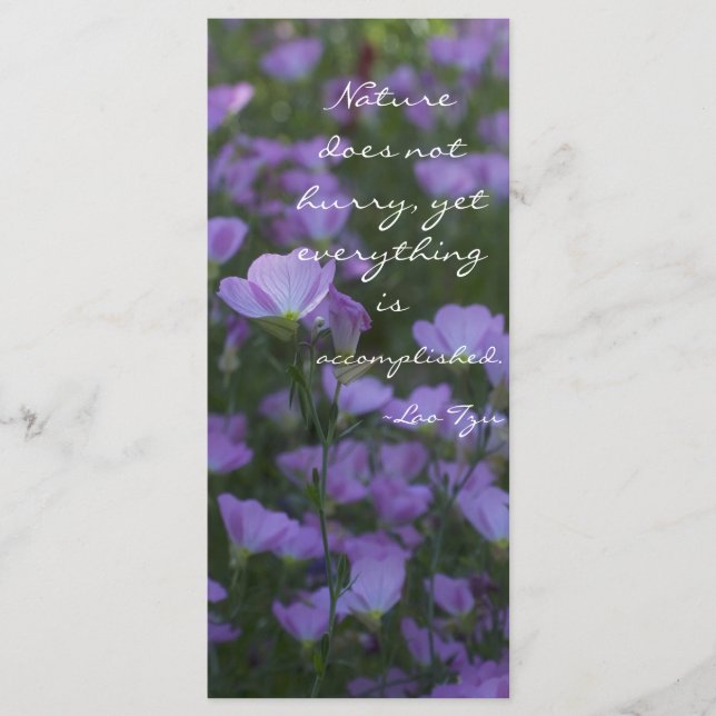 A natureza não se apressa (Frente)