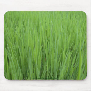 A NATUREZA TEXTURES a coleção de Mousepad