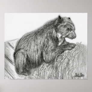 A. Neuman Bubu Impressão