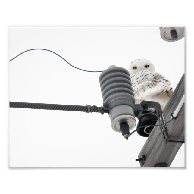 A neve regional - Impressão de fotos 8x10 (Frente)